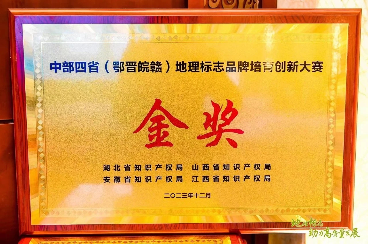 金獎.jpg